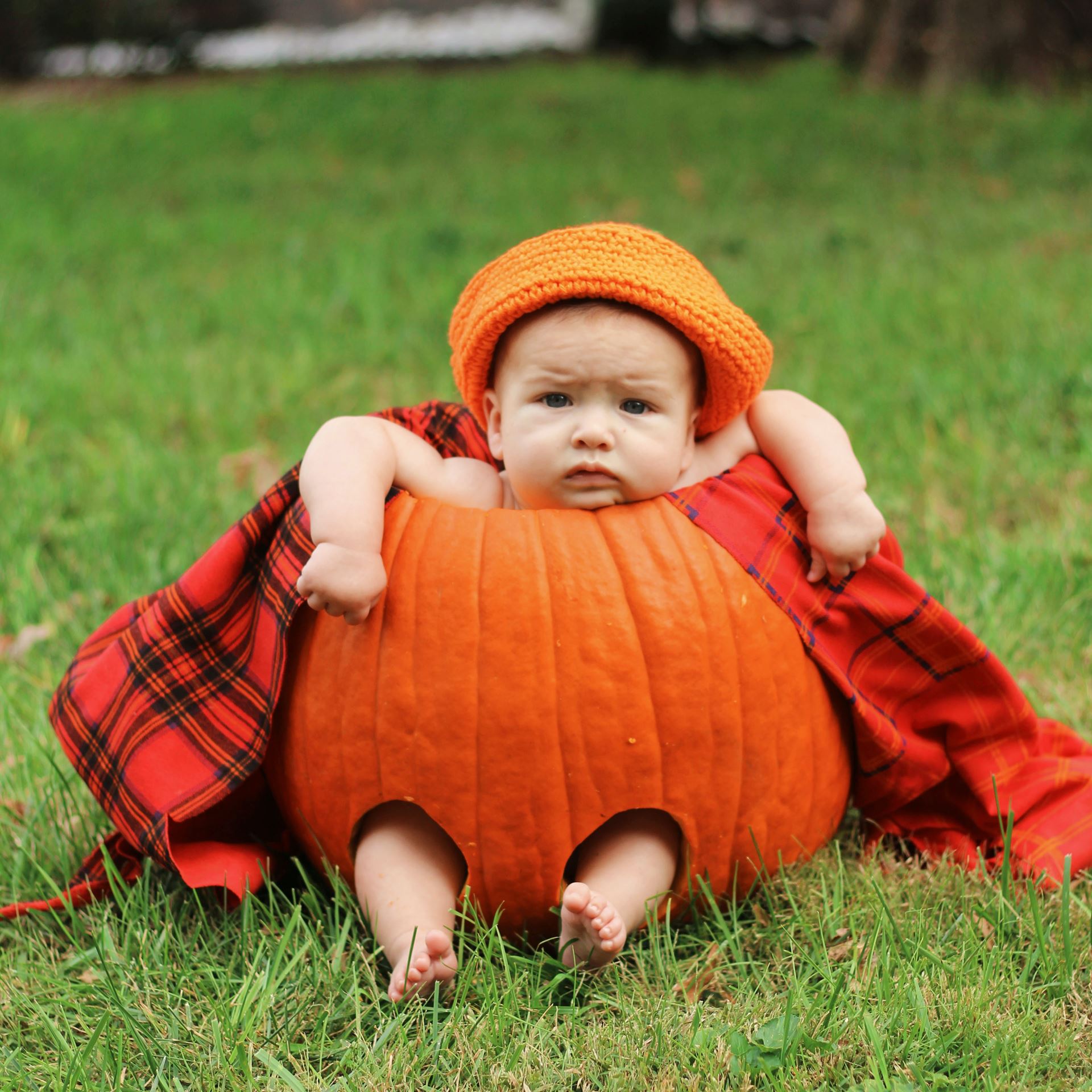 Baby in a pumpkin 